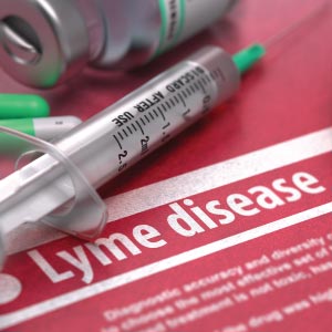 Persistent inflammation linked to development of Post-treatment Lyme disease Syndrome