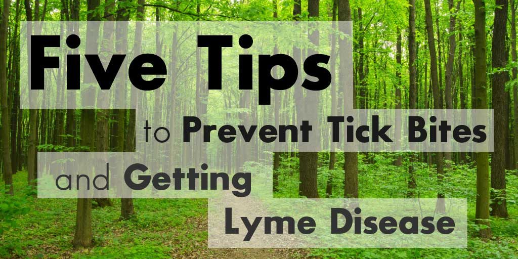 Five Tips to Prevent Tick Bites and Getting Lyme Disease