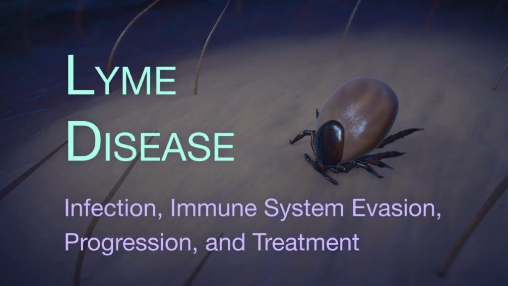 Johns Hopkins Lyme Disease Research Center