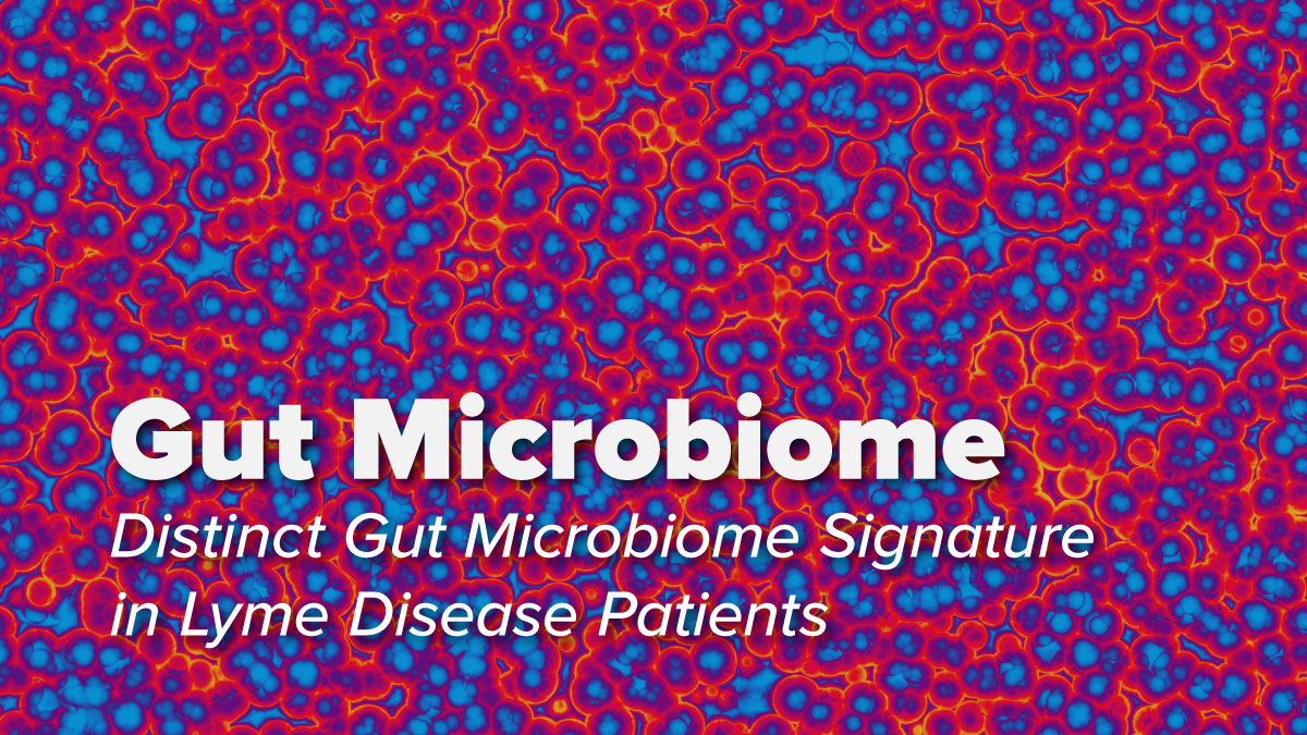 Distinct Gut Microbiome Signature in Lyme Disease Patients