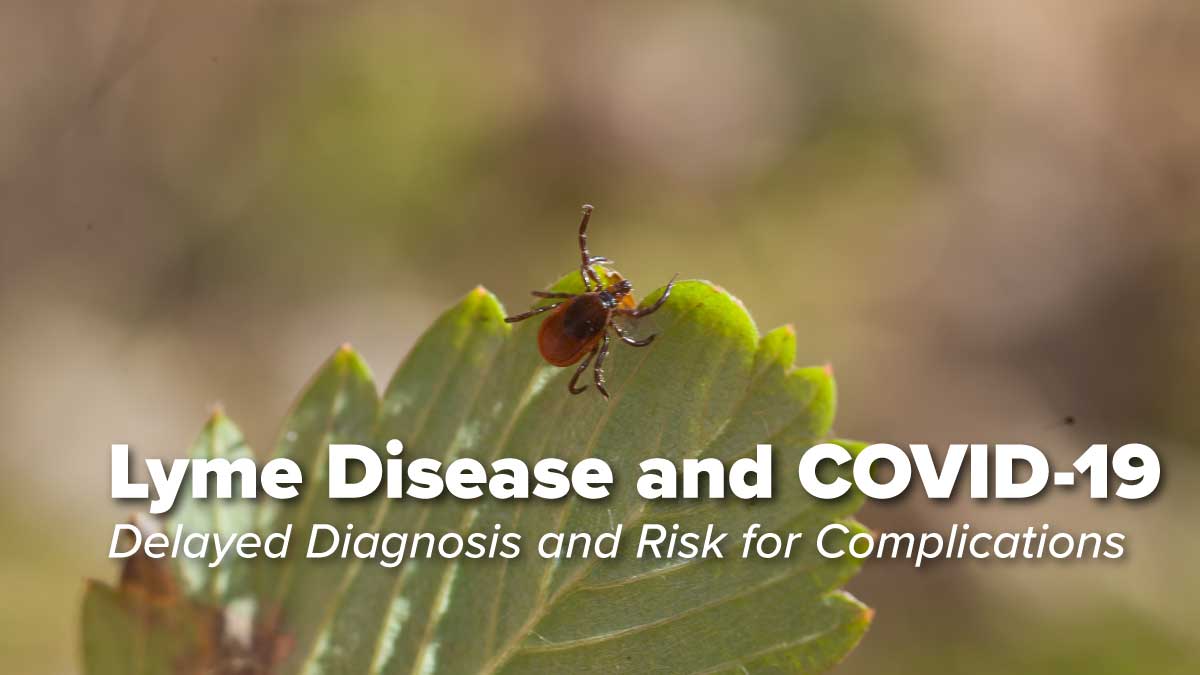 Lyme Disease in the Era of COVID-19: A Delayed Diagnosis and Risk for Complications