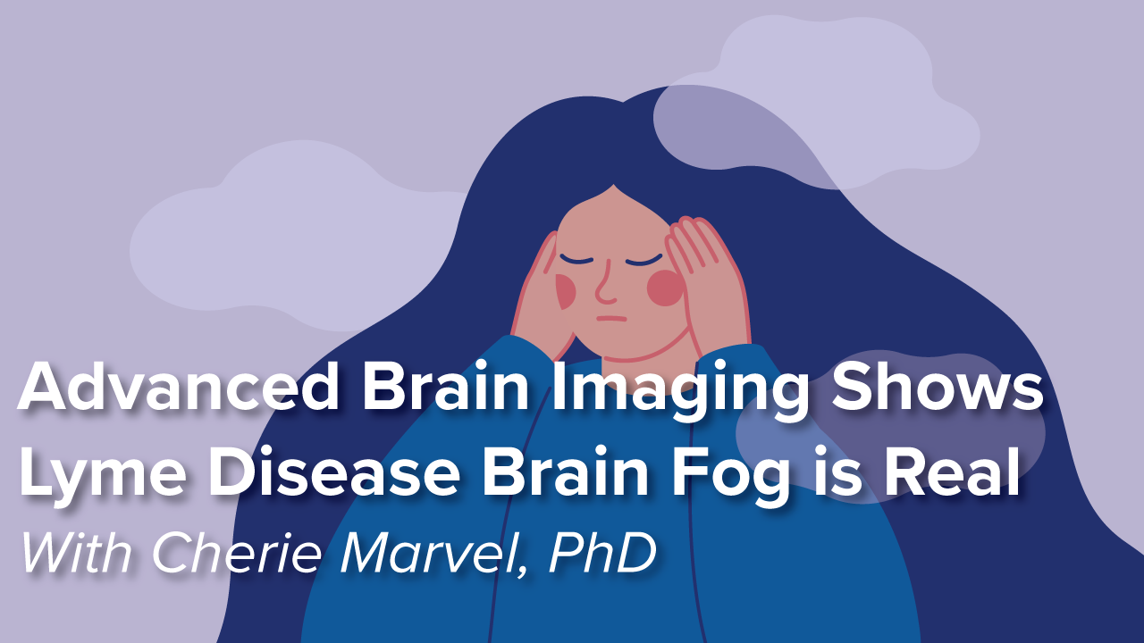 Is Lyme Disease Associated Brain Fog Real?