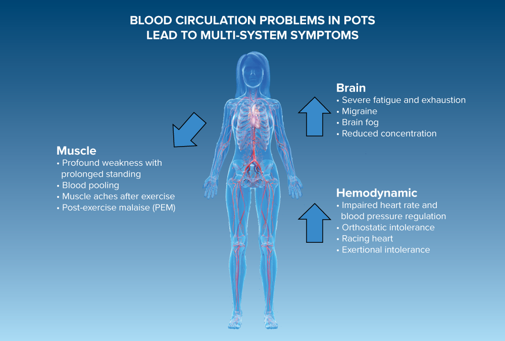 People with Lyme Disease Can Suffer From Dysautonomia & POTS