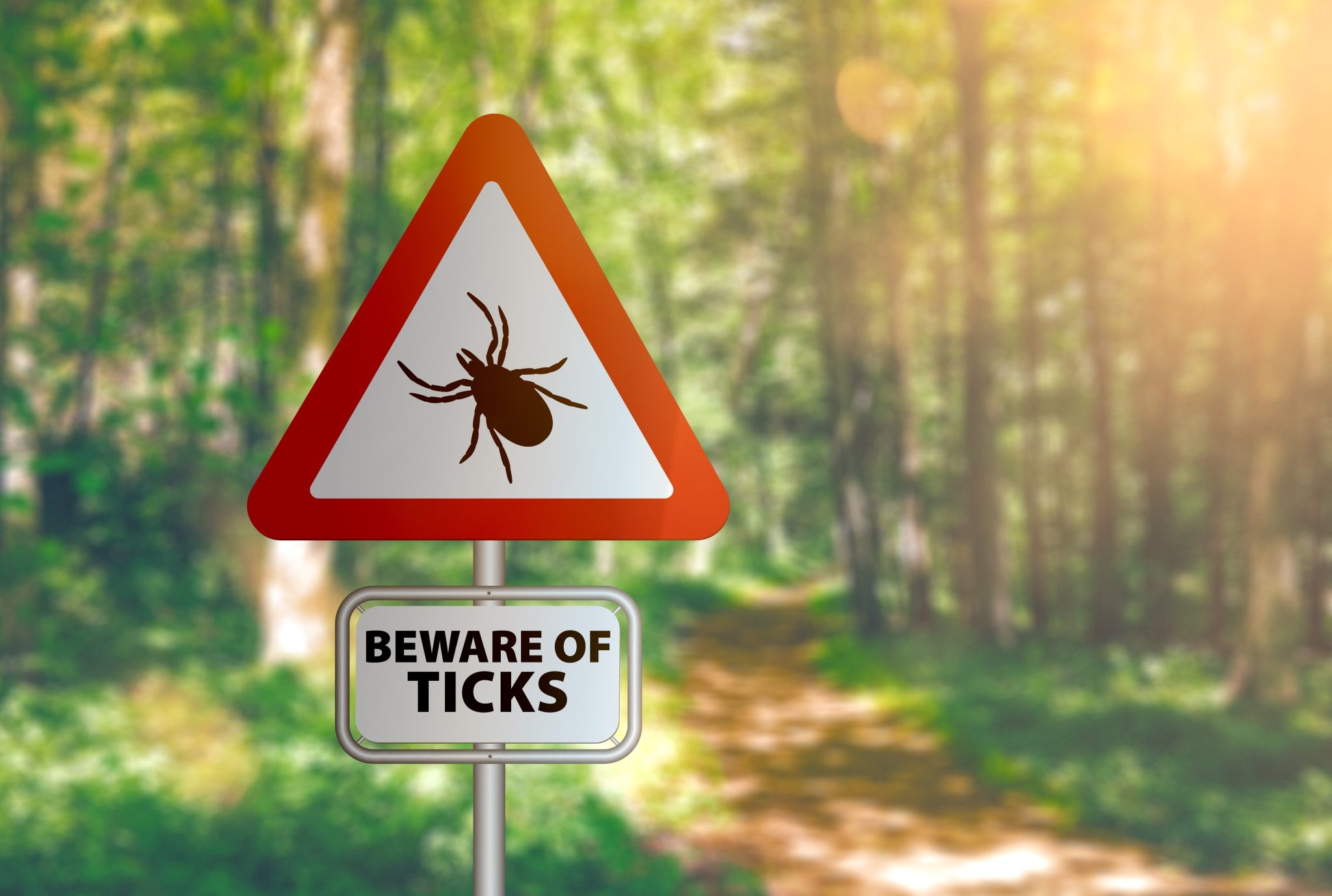 Is there a predictive autoantibody pattern for Lyme disease associated